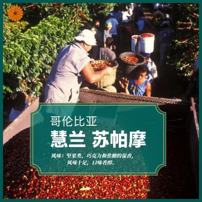 哥伦比亚进口慧兰苏帕摩水洗咖啡生豆2026新产季包邮